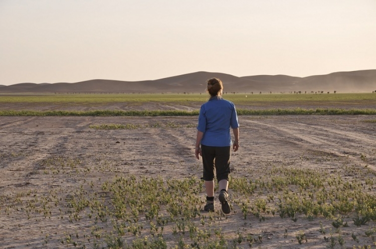 Aux portes du désert Paysages