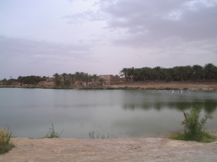 Lac de Témacine 1 Oasis