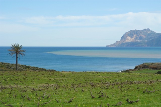 Cap Ténès  S/Merouane Paysages
