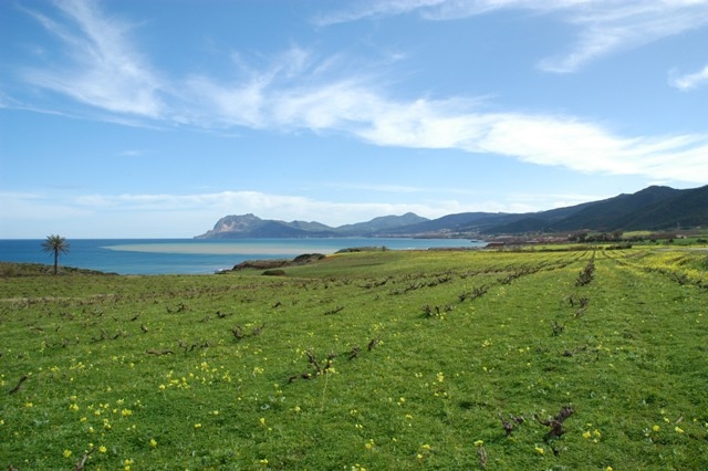 Cap Ténès Paysages