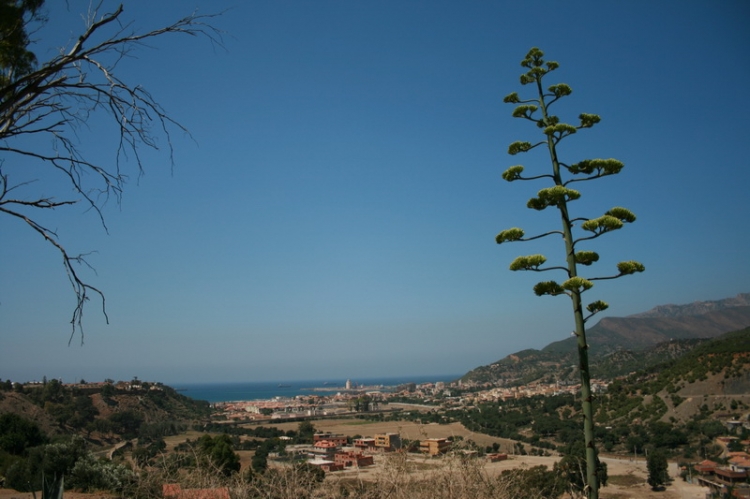 Tenes Panorama