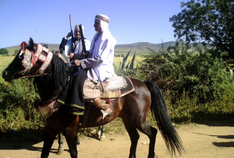 Cavalier arabe Panorama