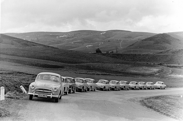 Convoi de dauphine Insolite