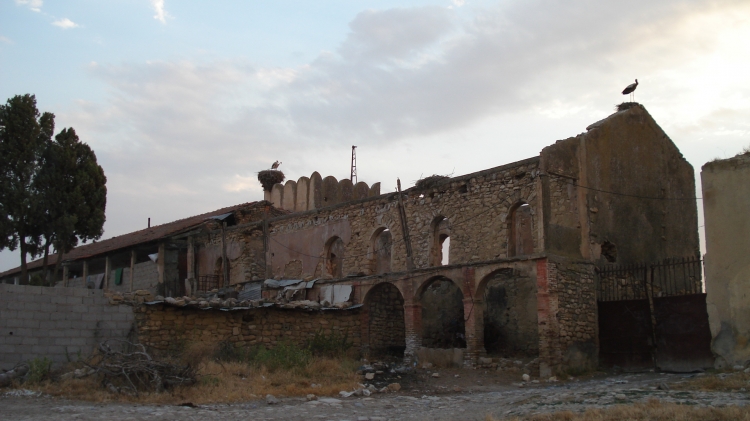 Les cigones veillent Blé