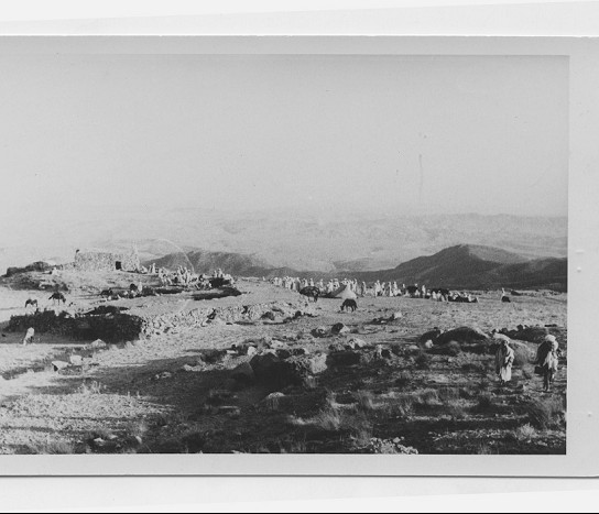 Fête de Taktiout:l'arrivée au mausolee de Si Ali Moussa !