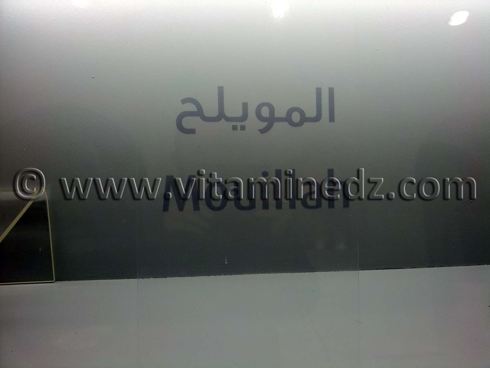 Pièces épipaléolithiques, Oued Mouilah, Maghnia (Musée Ahmed Zabana - Oran)