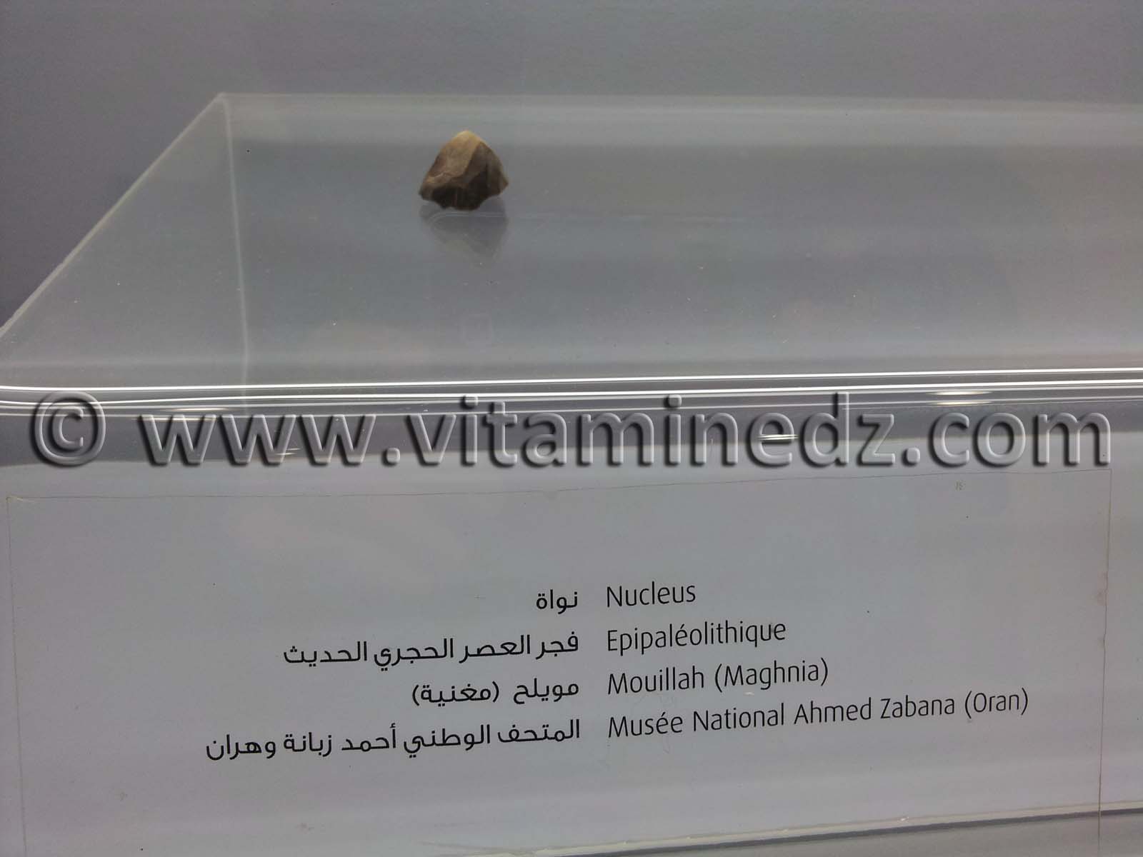 Nucleus Epipaléolithique , Mouillah - Maghnia (Musée Ahmed Zabana - Oran)