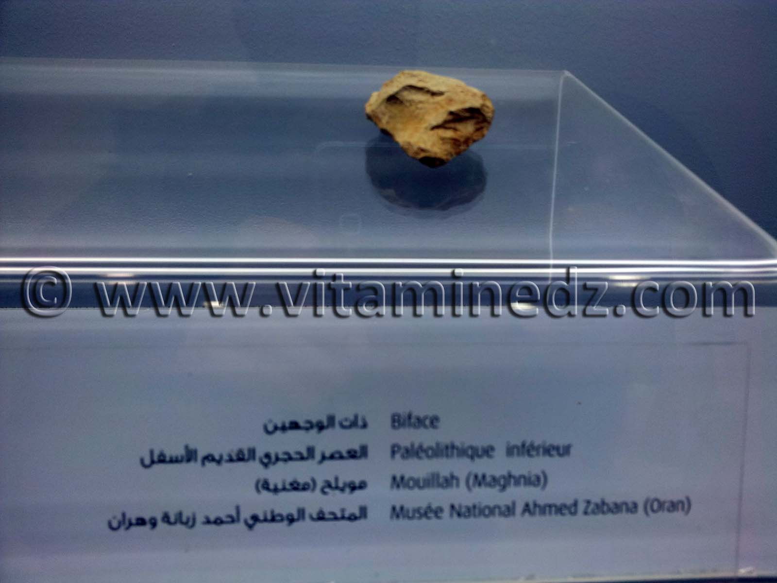 Biface paléolithique inférieur, Mouillah - Maghnia (Musée Ahmed Zabana - Oran)