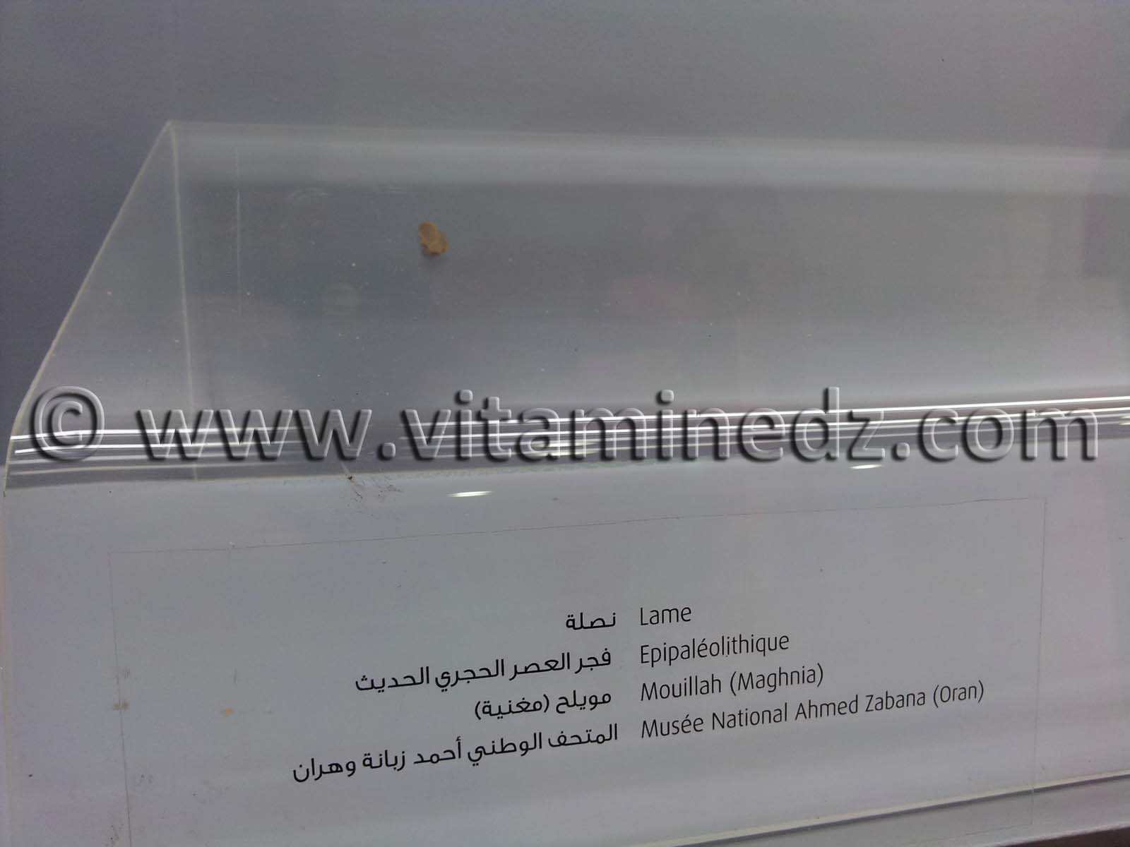 Lame épipaléolithique, Oued Mouilah, Maghnia (Musée Ahmed Zabana - Oran)