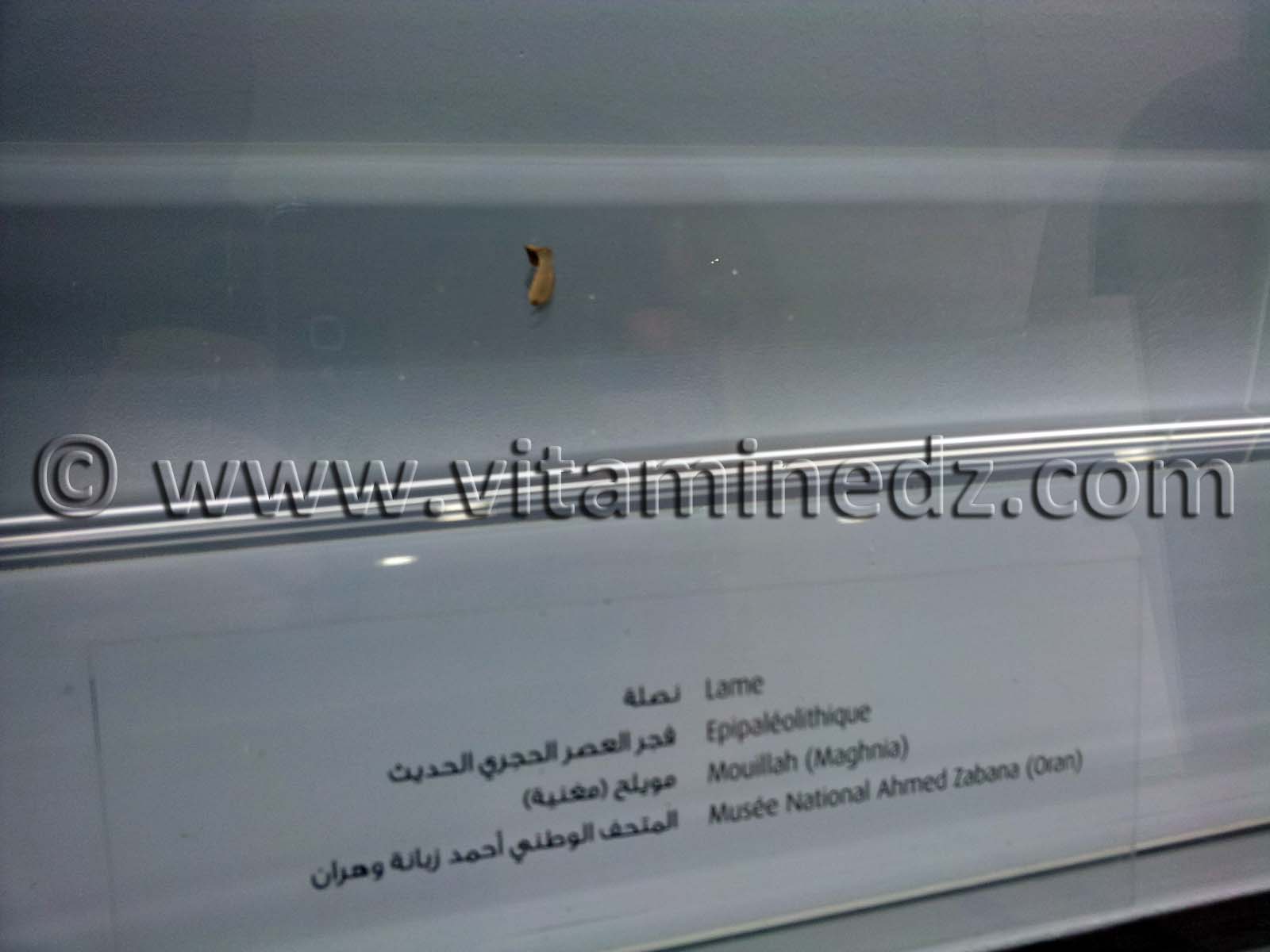 Lame épipaléolithique, Oued Mouilah, Maghnia (Musée Ahmed Zabana - Oran)