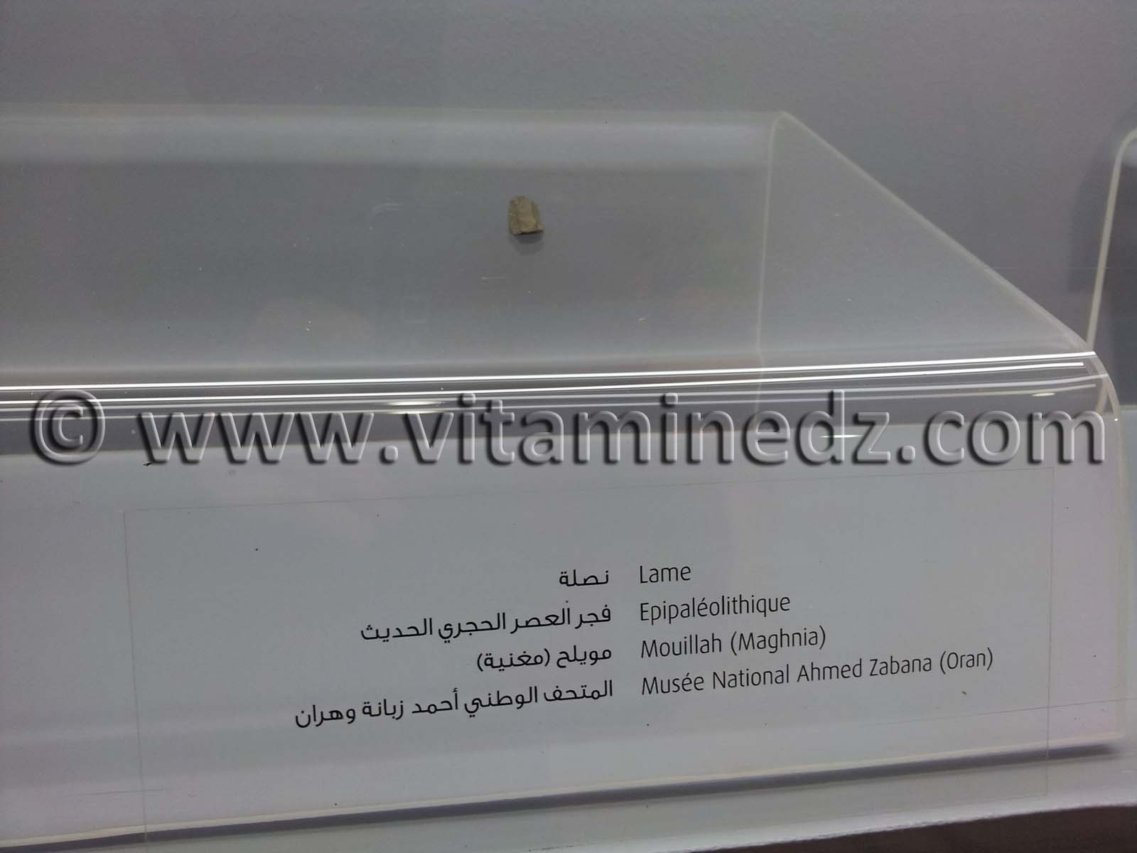 Lame épipaléolithique, Oued Mouilah, Maghnia (Musée Ahmed Zabana - Oran)