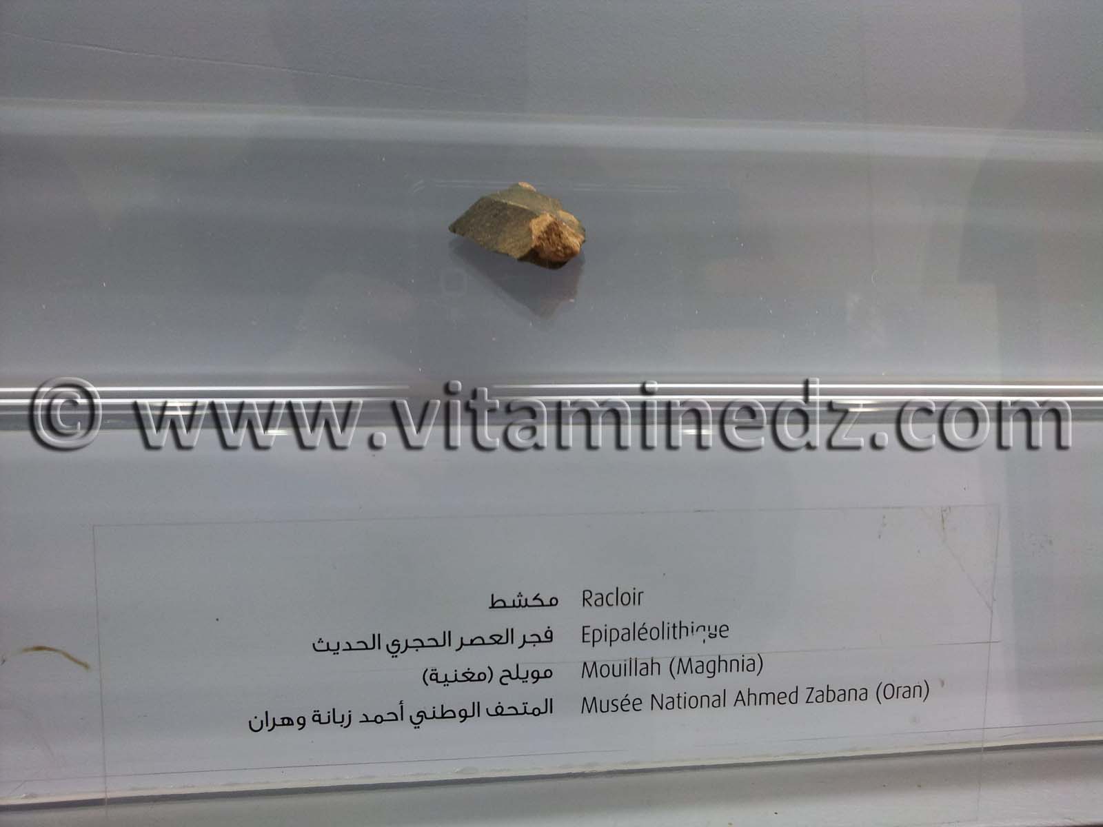 Racloir épipaléolithique, Oued Mouilah, Maghnia (Musée Ahmed Zabana - Oran)
