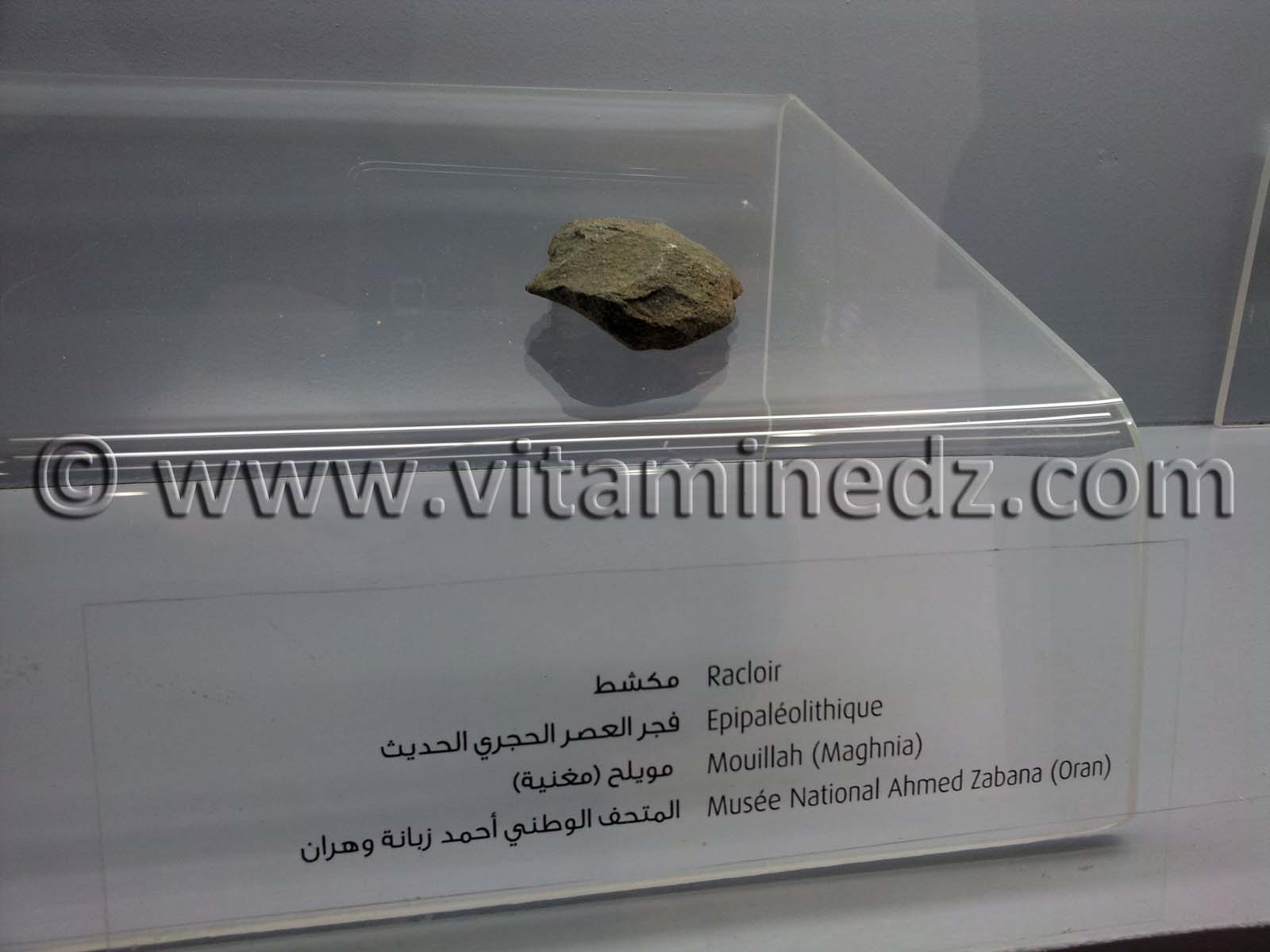 Racloir épipaléolithique, Oued Mouilah, Maghnia (Musée Ahmed Zabana - Oran)