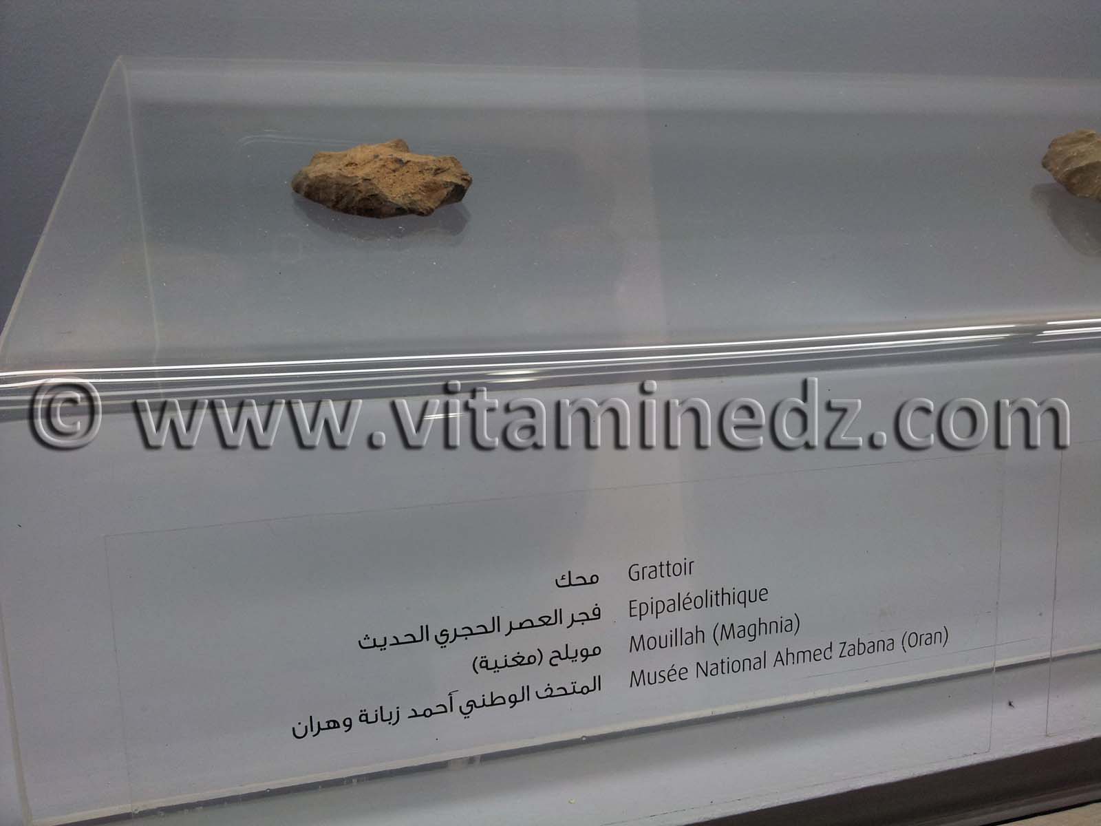 Racloir épipaléolithique, Oued Mouilah, Maghnia (Musée Ahmed Zabana - Oran)