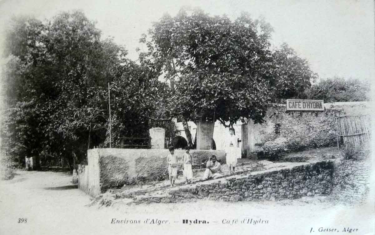 Cafe Hydra Alger