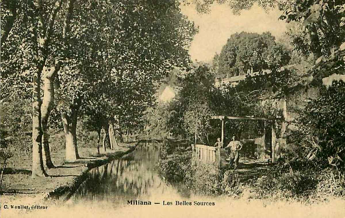 Miliana Les belles sources