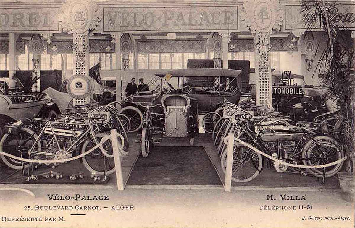 Alger velo palace