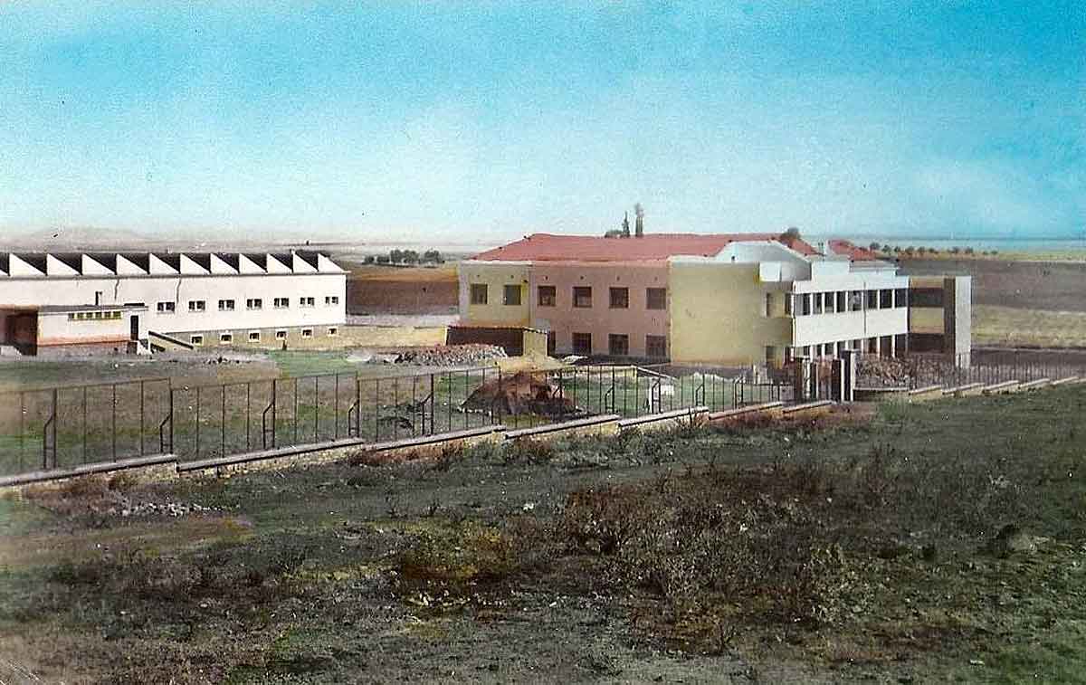 Ecole pro tiaret