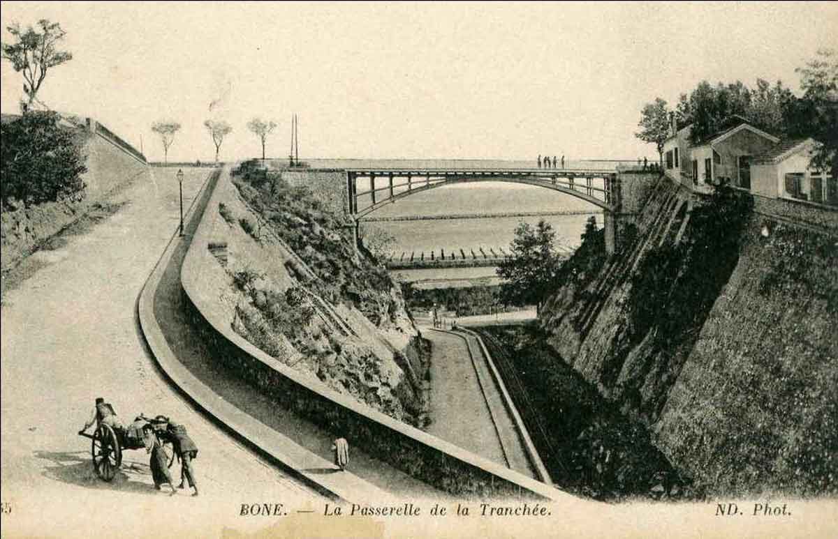 Bone tranchee