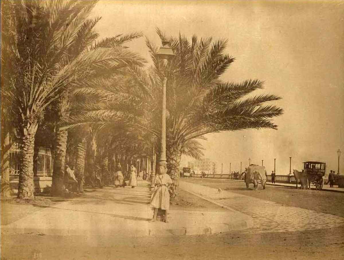 Alger 1890 1