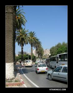 L’une des avenues qui mène au centre ville de Bejaia
