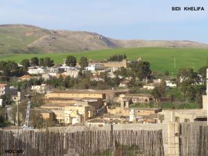 SIDI KHELIFA