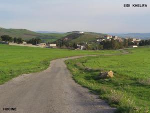 SIDI KHELIFA