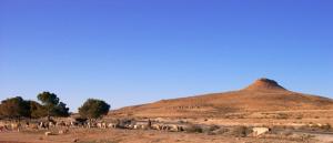 réserve naturelle  Mergueb