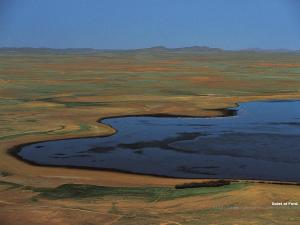 Dayet El Ferd, Tlemcen