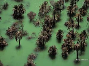 Barrage à El Kantara, Biskra