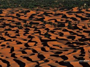 Oasis d'El-Goléa, Ghardaia