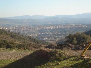 Berrouaghia Vu du fernane
