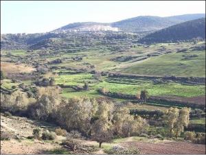 La commune de Ain Tellout, Tlemcen