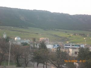 printemps annèe 2009