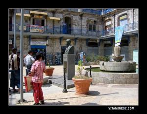 Placette de Manuel Teixeira GOMES.