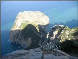 Paysage de Cap Carbon