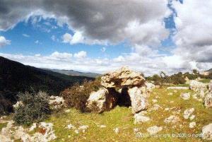 La commune de Roknia, Guelma