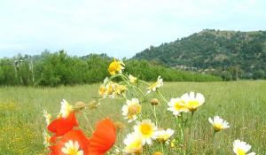 Paysage de Bellara (El Milia), Jijel