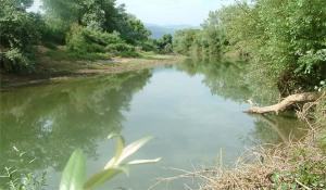 Oued Boussiaba, El Milia, Jijel