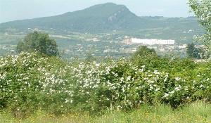 Village de Ouled Ali, El Milia, Jijel