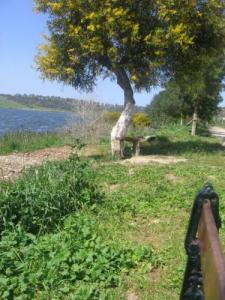 Le lac de Reghaia, Alger