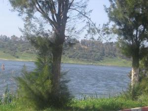 Paysage du lac de Reghaia, Alger