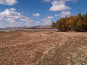 Le lac Tamaris, Naama