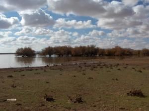 Paysage du lac de Tamaris, Naama