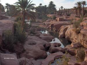 Oasis à Tiout, Naama