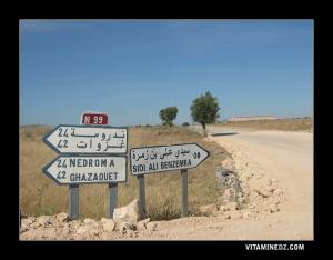 Route vers Sidi Ali Benzemra