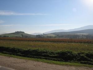 Vue sur la commune de Tadmait, Tizi Ouzou