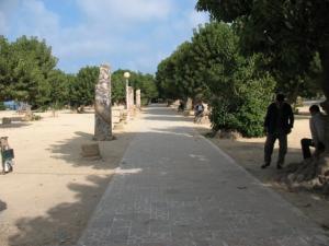 La place romaine à Cherchell, Tipaza