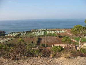 Paysage de la plaine de Mitidja