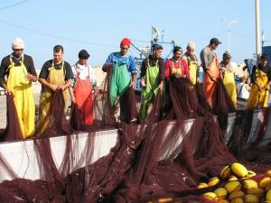 Les pêcheurs à Bouharoun, Tipaza